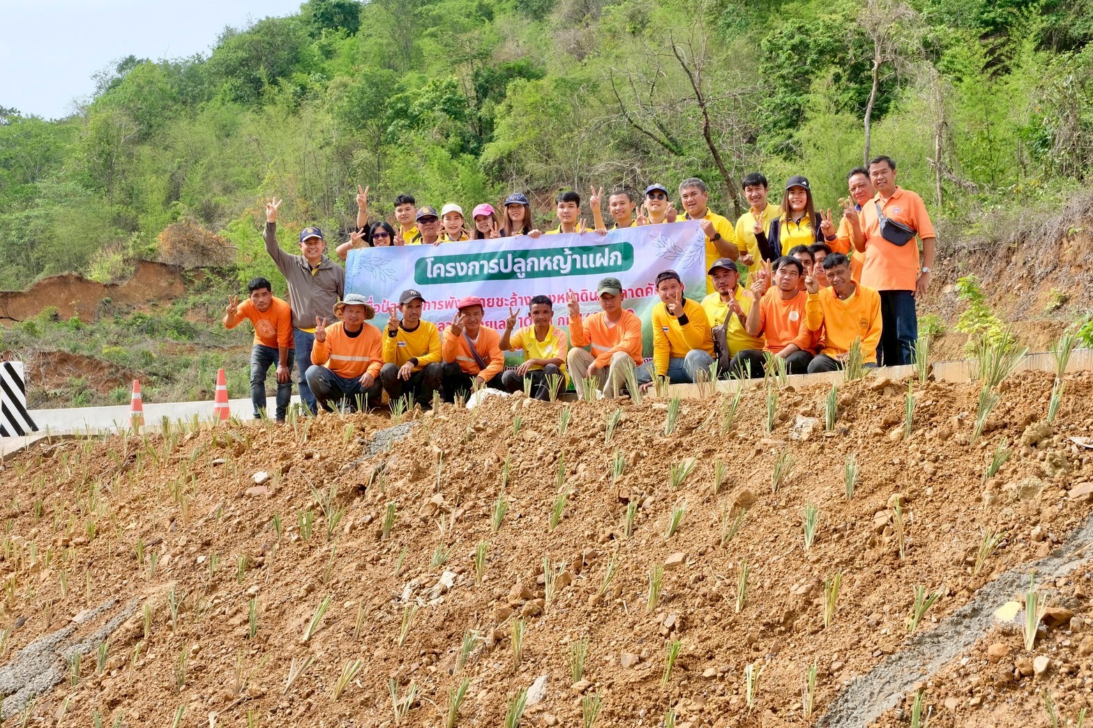 โครงการปลูกหญ้าแฝก เพื่อป้องกันการพังทลายชะล้างของหน้าดินเชิงลาดคันทาง บริเวณทางหลวงหมายเลข 105